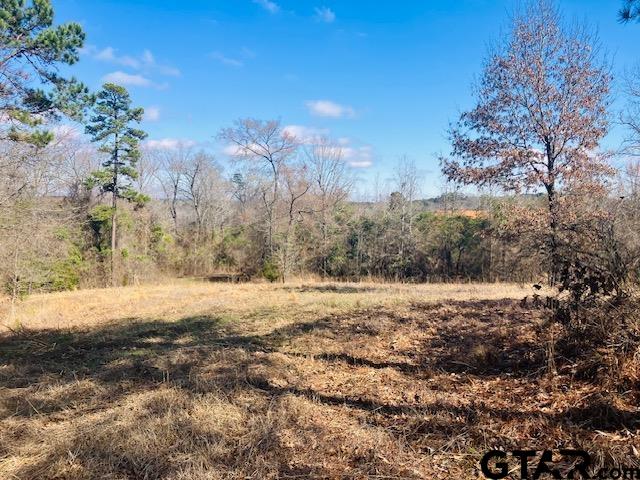 Tbd Tbd Ridgeline Loop Winona, TX 75792 - Photo 6 of 14