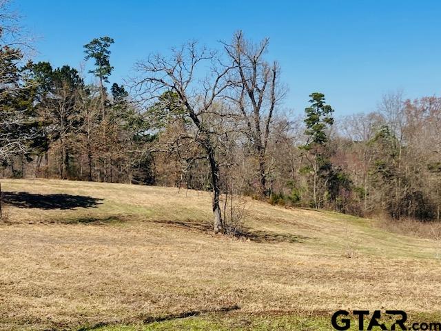 Tbd Tbd Ridgeline Loop Winona, TX 75792 - Photo 7 of 14