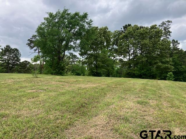 Tbd Tbd Ridgeline Loop Winona, TX 75792 - Photo 8 of 18 a view of outdoor space with deck and yard