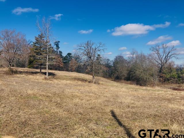 Tbd Tbd Ridgeline Loop Winona, TX 75792 - Photo 8 of 14