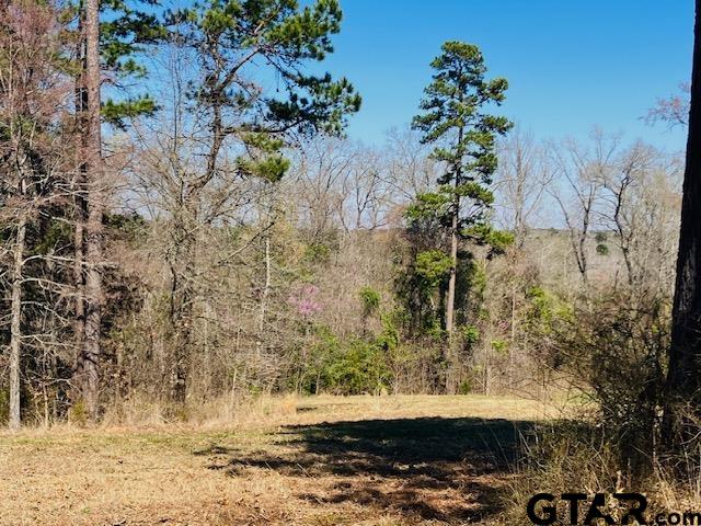 Tbd Tbd Ridgeline Loop Winona, TX 75792 - Photo 9 of 14