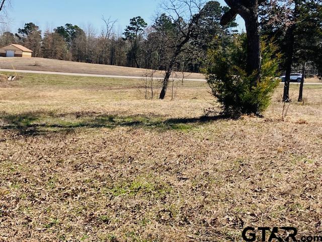 Tbd Tbd Ridgeline Loop Winona, TX 75792 - Photo 10 of 14