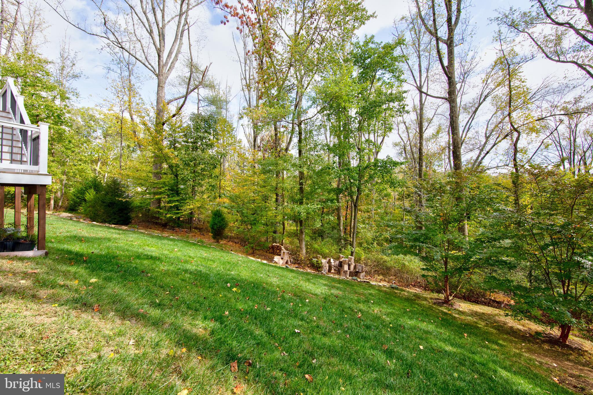 304 Patterson Mill Road Bel Air, MD 21015 - Photo 36 of 40 Backyard backing to trees