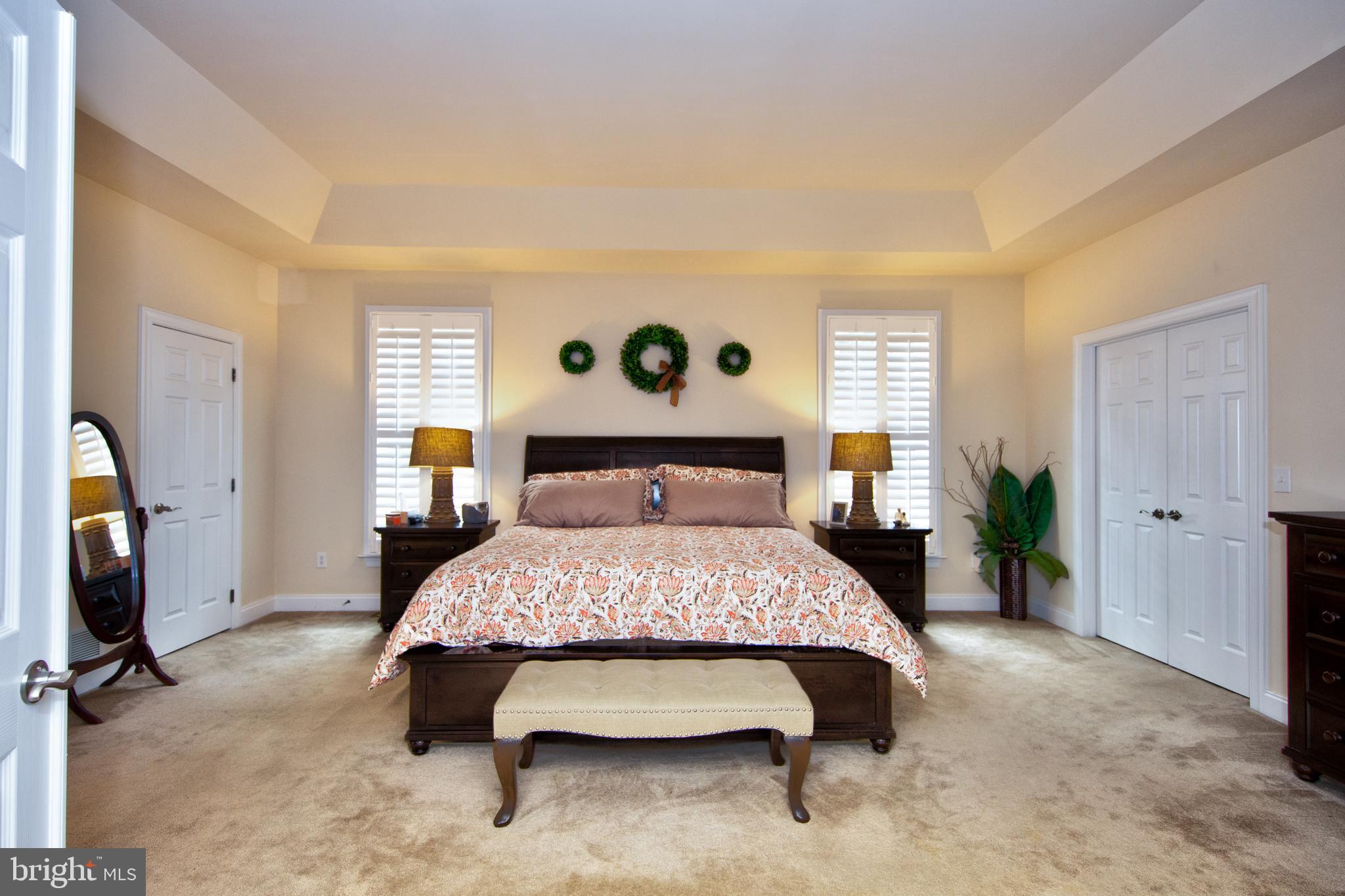 304 Patterson Mill Road Bel Air, MD 21015 - Photo 9 of 40 Main level master suite with tray ceilings