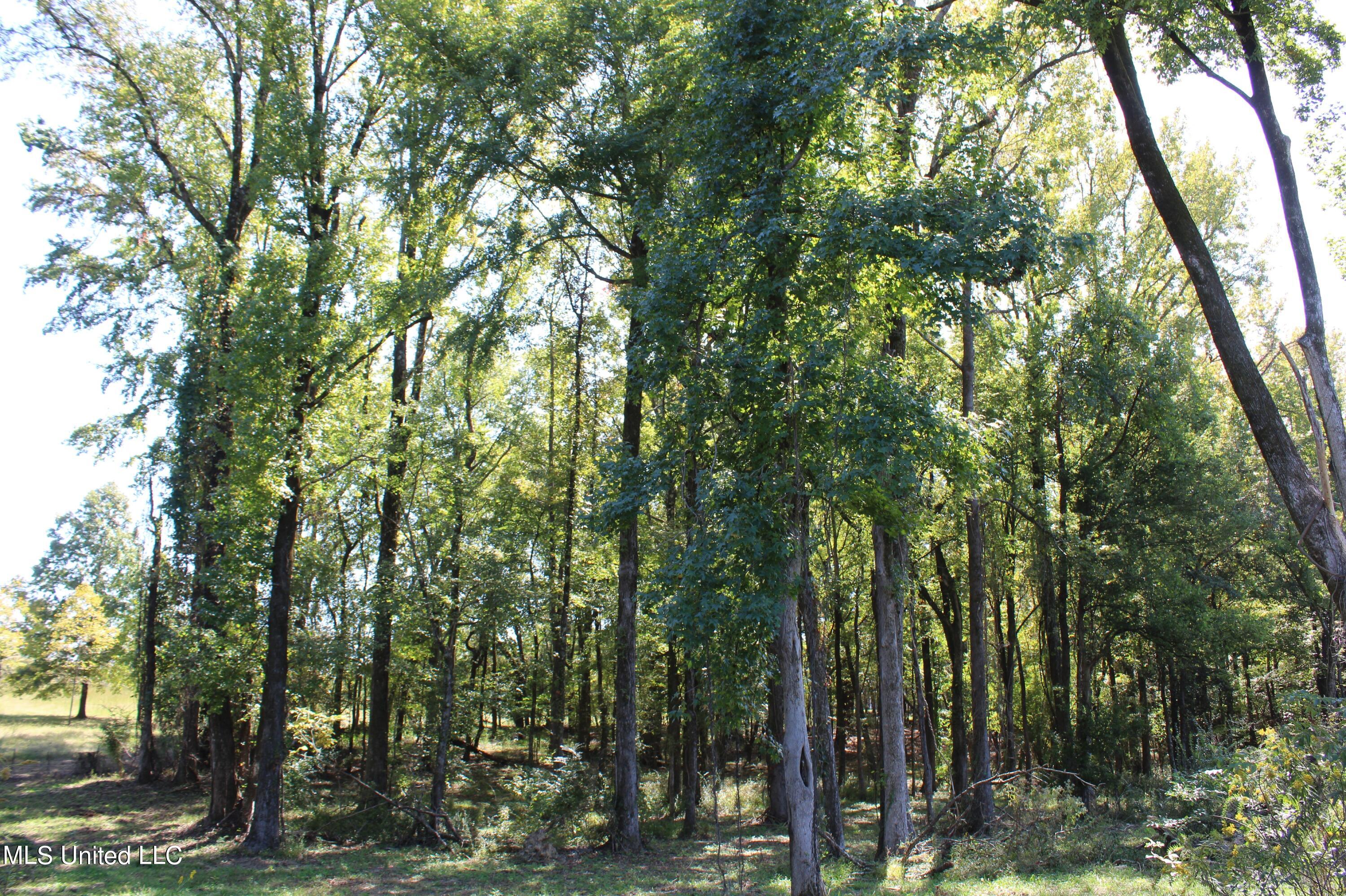 5200 Mt Olivet Road Batesville, MS 38606 - Photo 27 of 34 IMG_4756