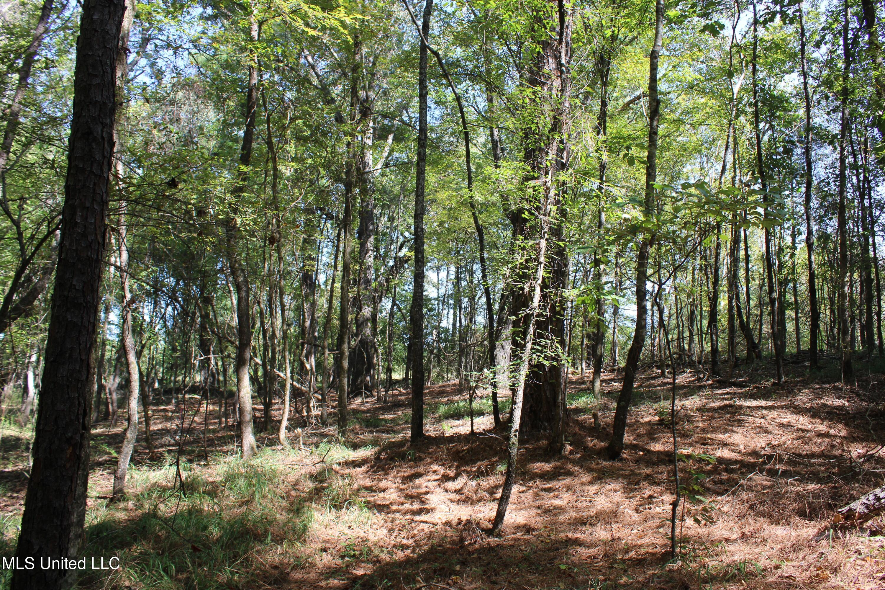 5200 Mt Olivet Road Batesville, MS 38606 - Photo 33 of 34 IMG_4775