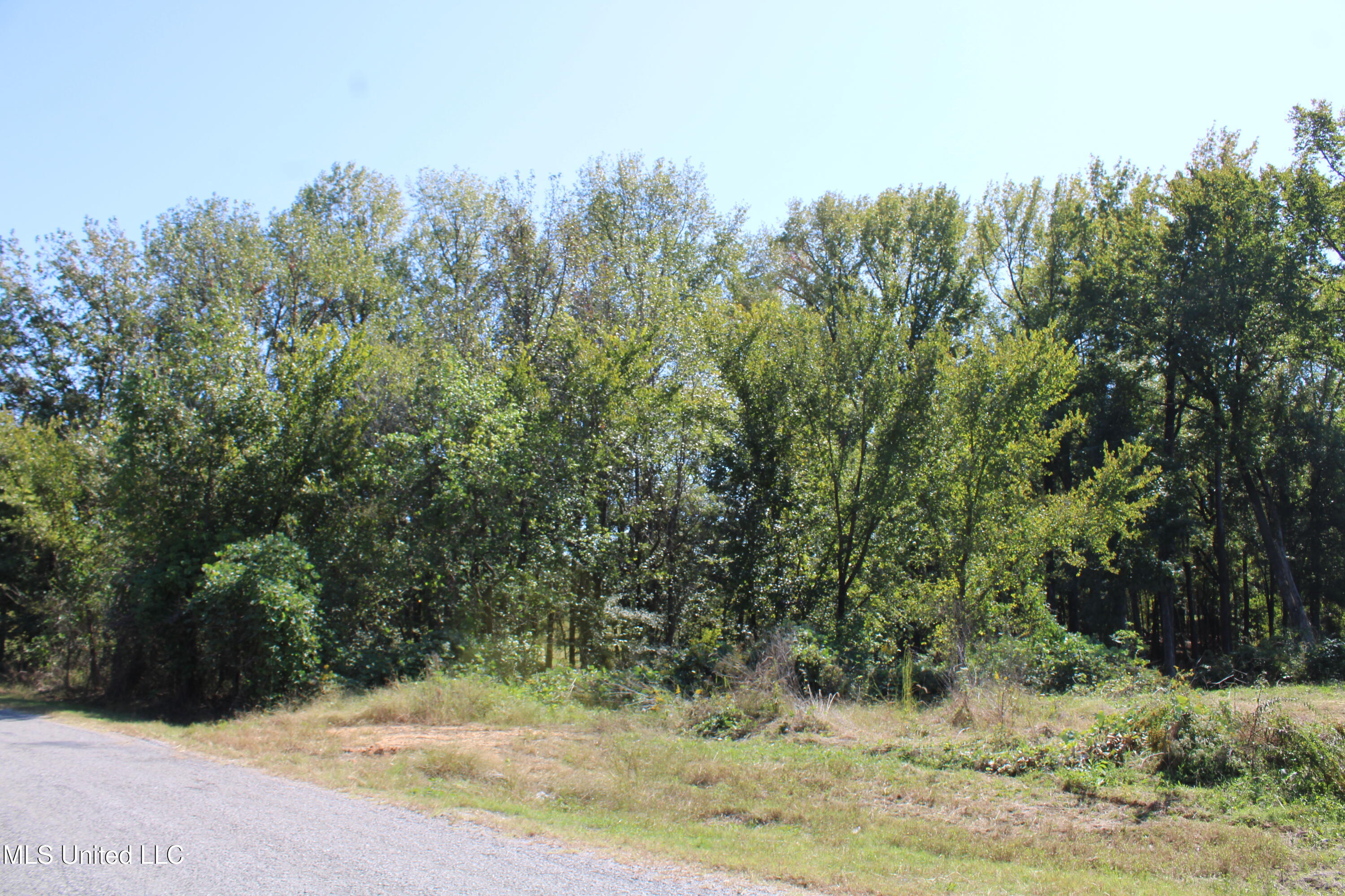 5200 Mt Olivet Road Batesville, MS 38606 - Photo 5 of 34 IMG_4754