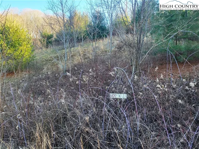 $59,900 | Lot 5 Terra Vista Drive, Laurel Springs, NC 28644