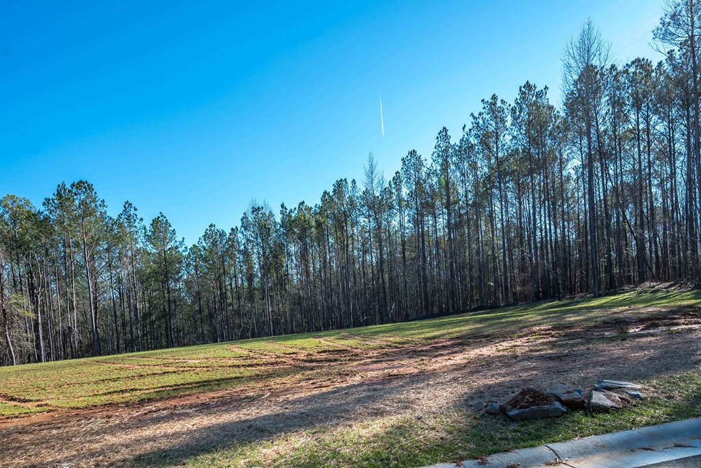 8407 Ripple Ridge Columbus, GA 31904 - Photo 12 of 41