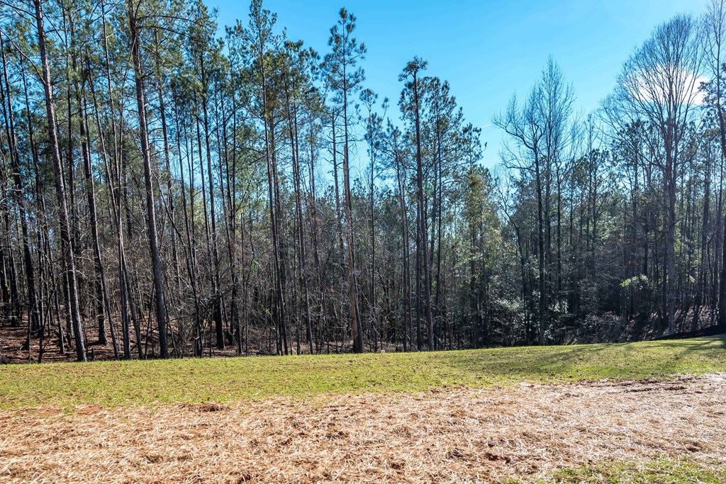 8407 Ripple Ridge Columbus, GA 31904 - Photo 15 of 41