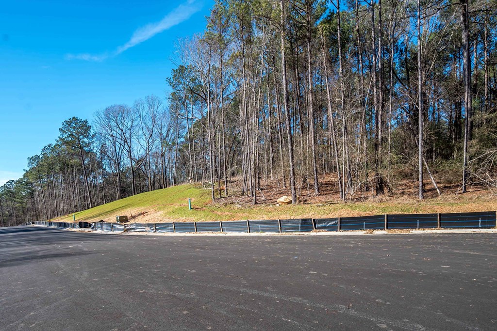 8407 Ripple Ridge Columbus, GA 31904 - Photo 18 of 41