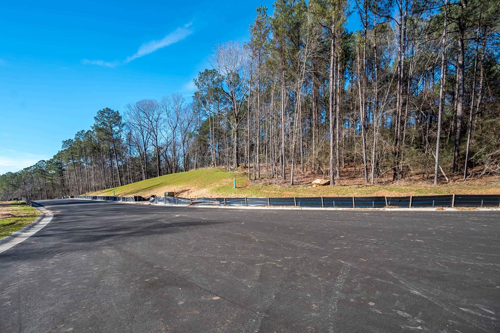 8407 Ripple Ridge Columbus, GA 31904 - Photo 20 of 41