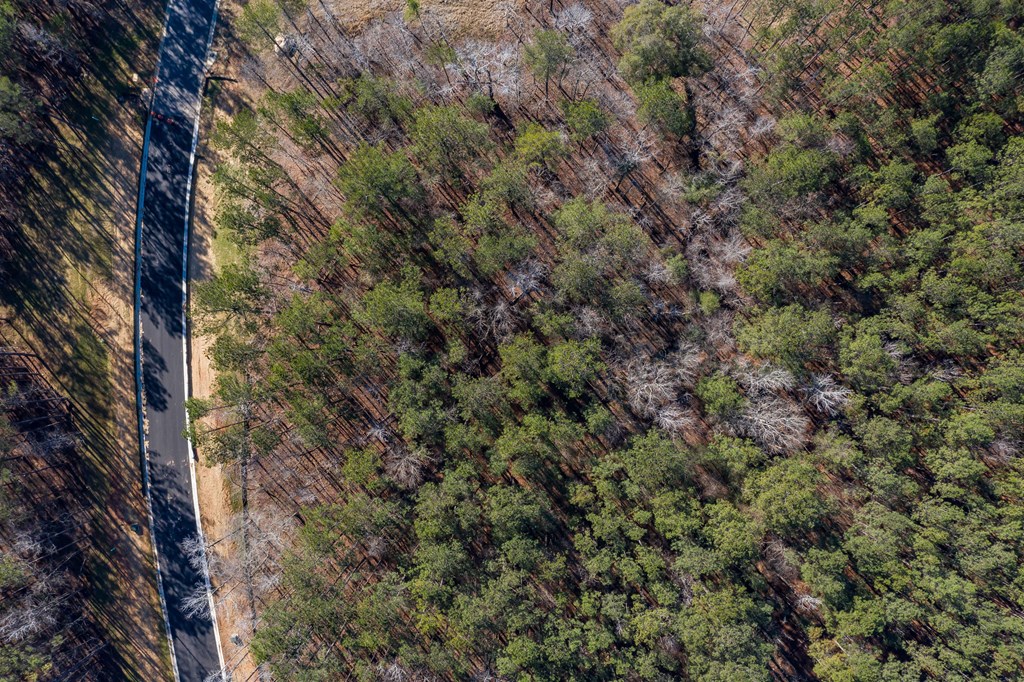 8407 Ripple Ridge Columbus, GA 31904 - Photo 38 of 41