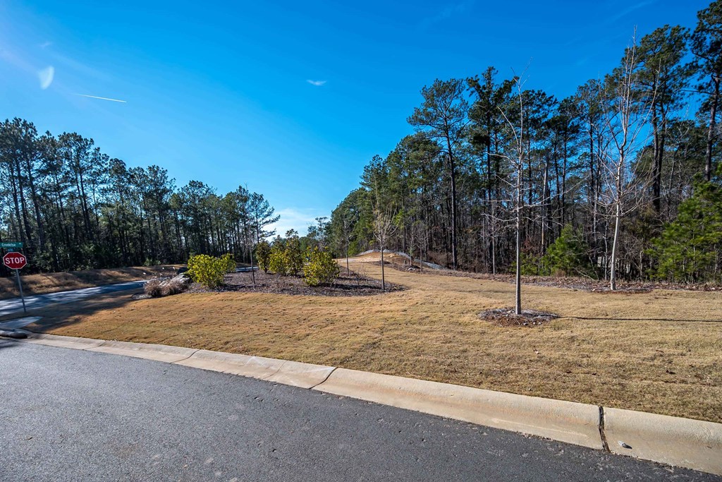 8407 Ripple Ridge Columbus, GA 31904 - Photo 7 of 41