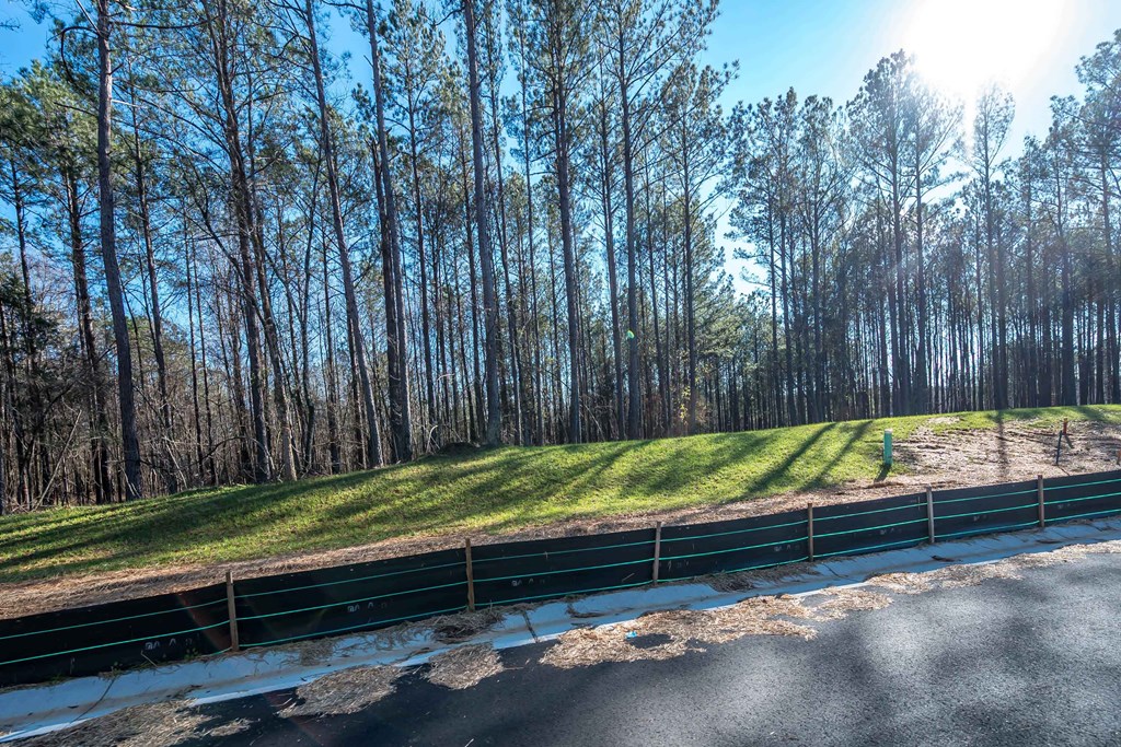 8407 Ripple Ridge Columbus, GA 31904 - Photo 9 of 41