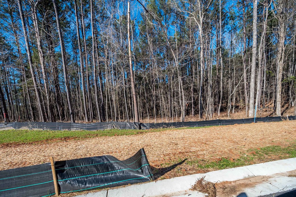 8407 Ripple Ridge Columbus, GA 31904 - Photo 10 of 41