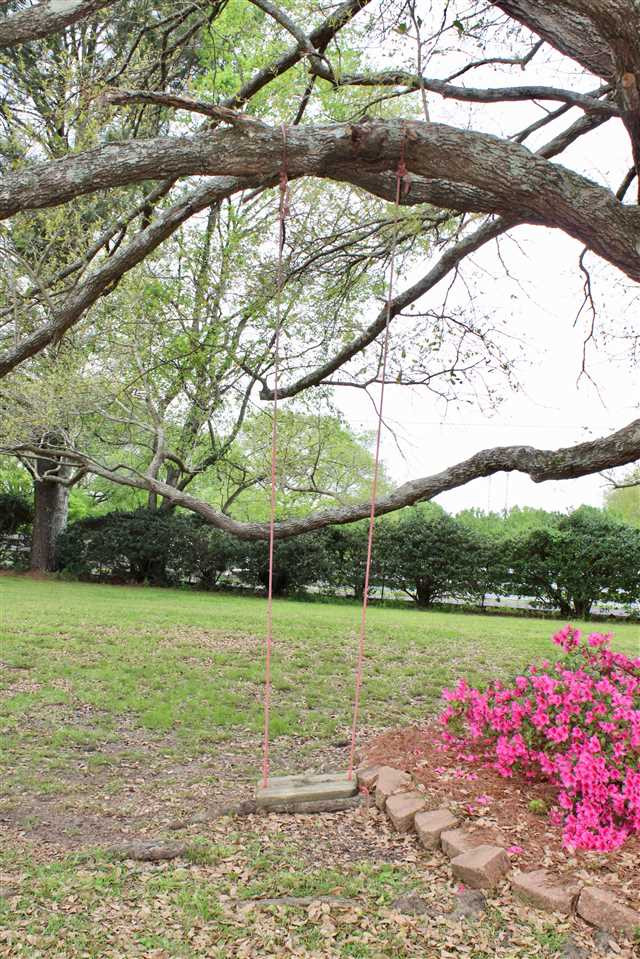 221 Rolling Meadows Road Ridgeland, MS 39157 - Photo 38 of 50 Photo 38