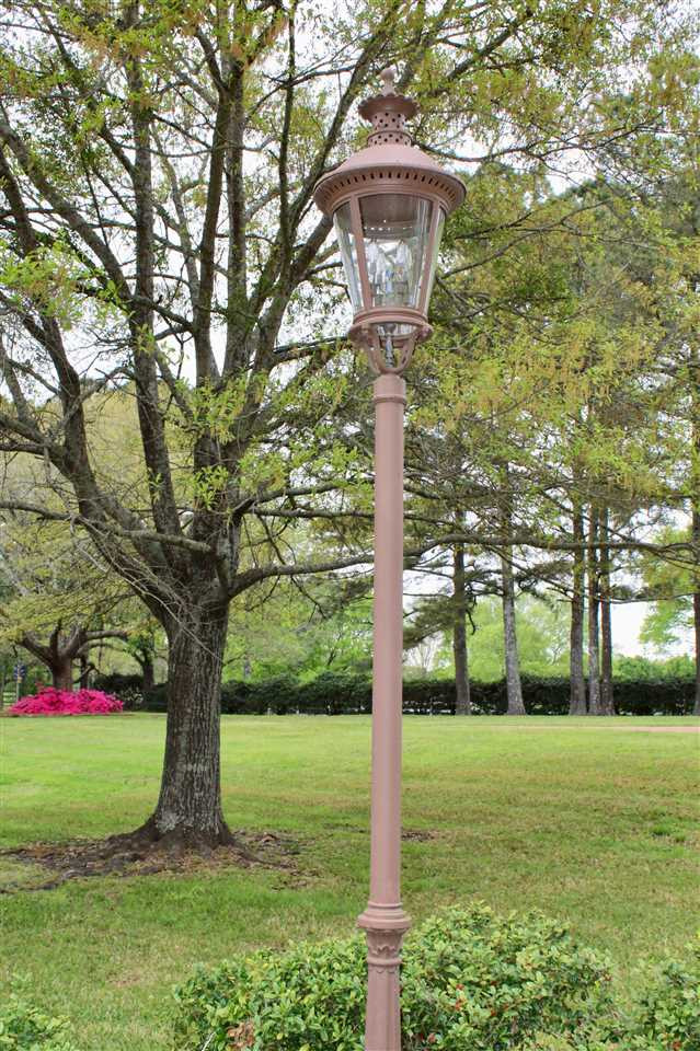 221 Rolling Meadows Road Ridgeland, MS 39157 - Photo 39 of 50 Photo 39