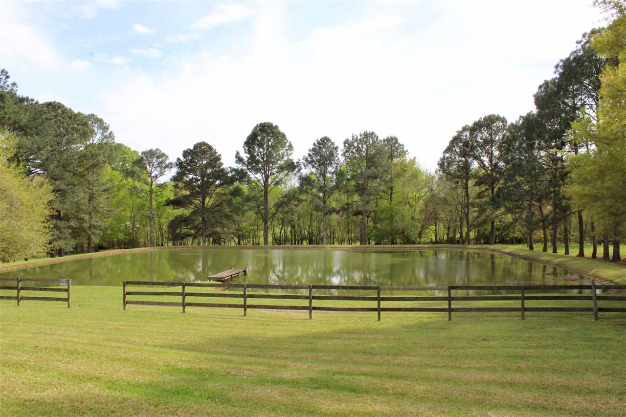 221 Rolling Meadows Road Ridgeland, MS 39157 - Photo 4 of 50 Photo 4