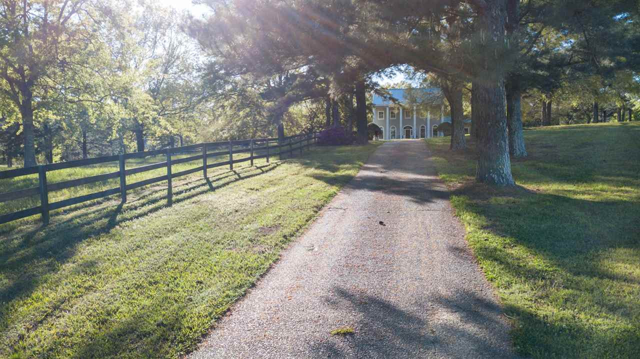 221 Rolling Meadows Road Ridgeland, MS 39157 - Photo 48 of 50 Photo 48