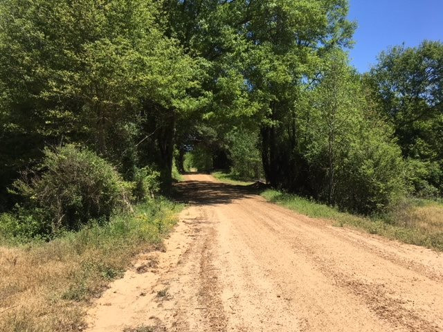0 Massey Road Carthage, MS 39051 - Photo 5 of 14 Photo 5