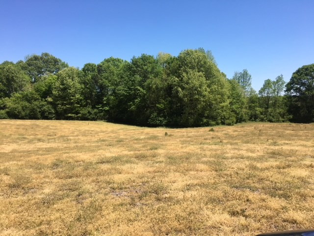 0 Massey Road Carthage, MS 39051 - Photo 8 of 14 Photo 8