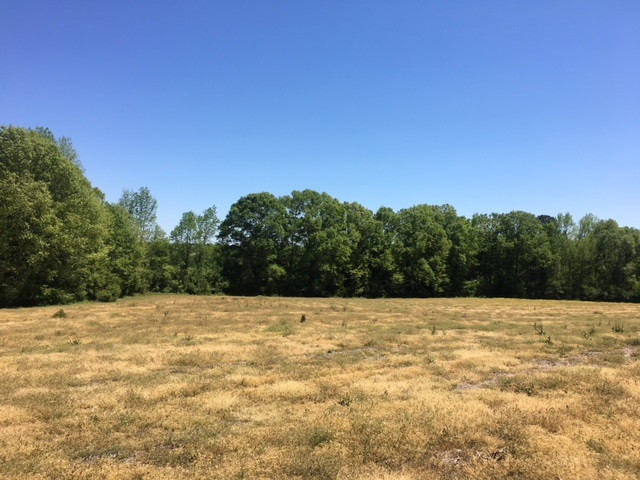 0 Massey Road Carthage, MS 39051 - Photo 9 of 14 Photo 9
