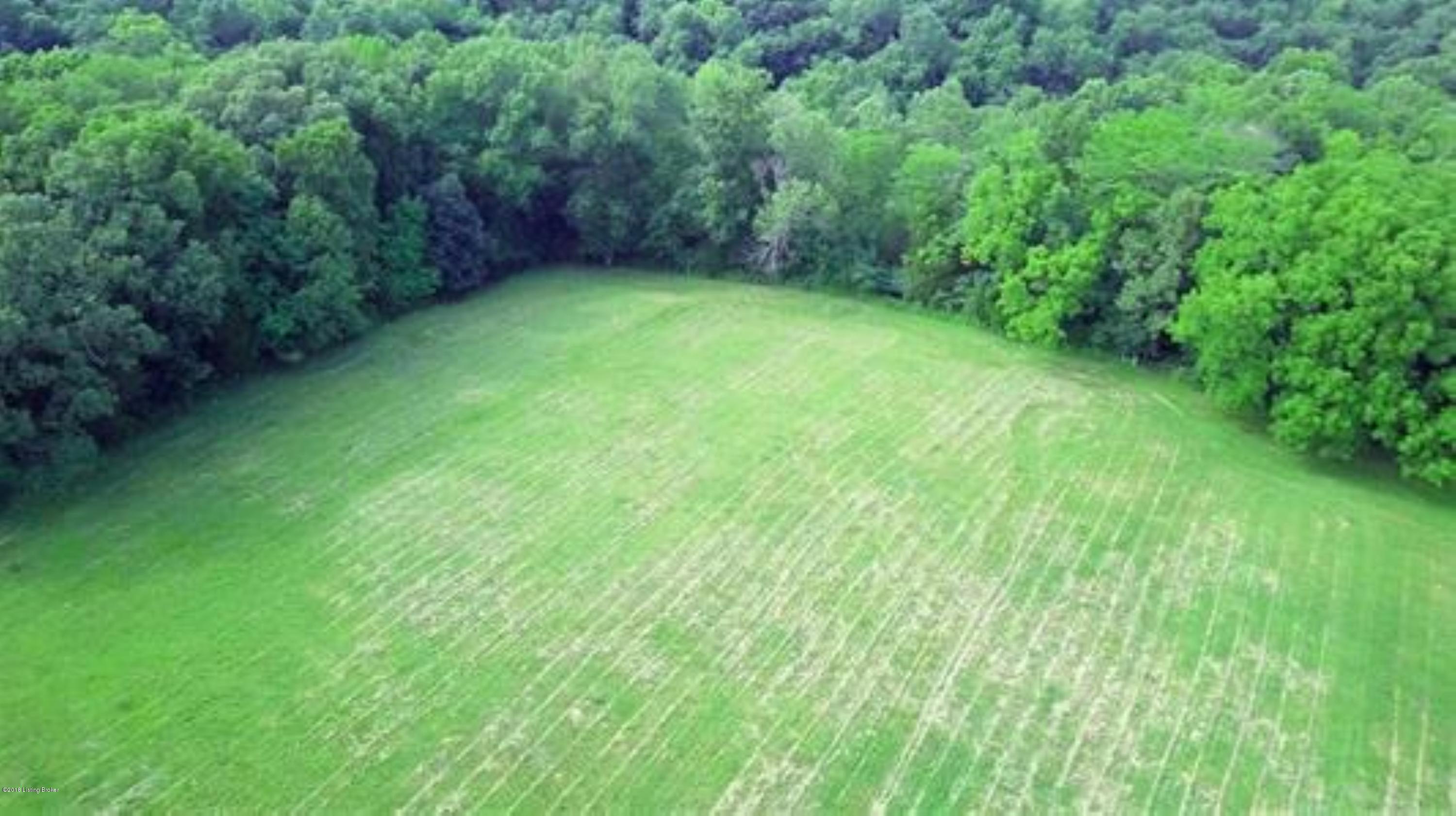 0 Hall Simpson Road Loretto, KY 40037 - Photo 5 of 15 10044337-4 (Custom)