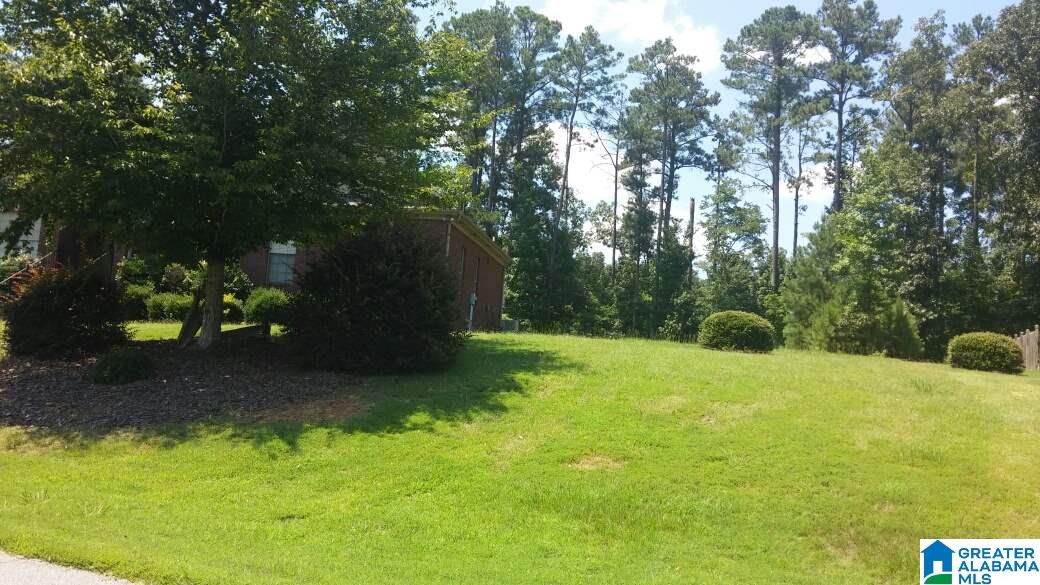 143 Thoroughbred Lane Alabaster, AL 35007 - Photo 21 of 22