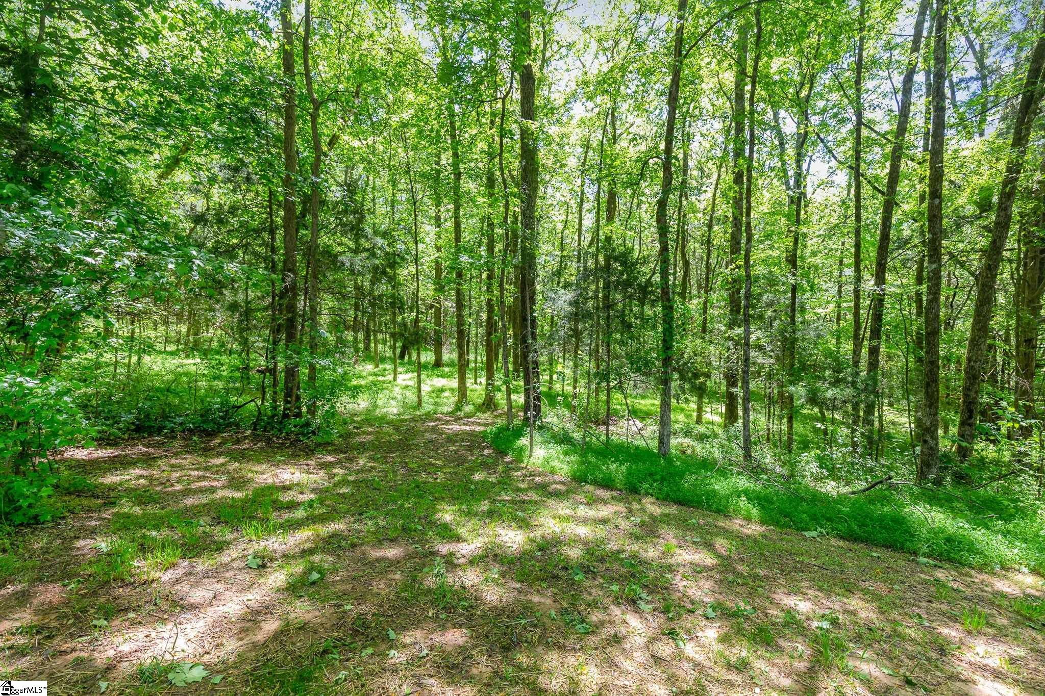 101 Raheja Ridge Road Laurens, SC 29360 - Photo 36 of 36 Gallery Image 36