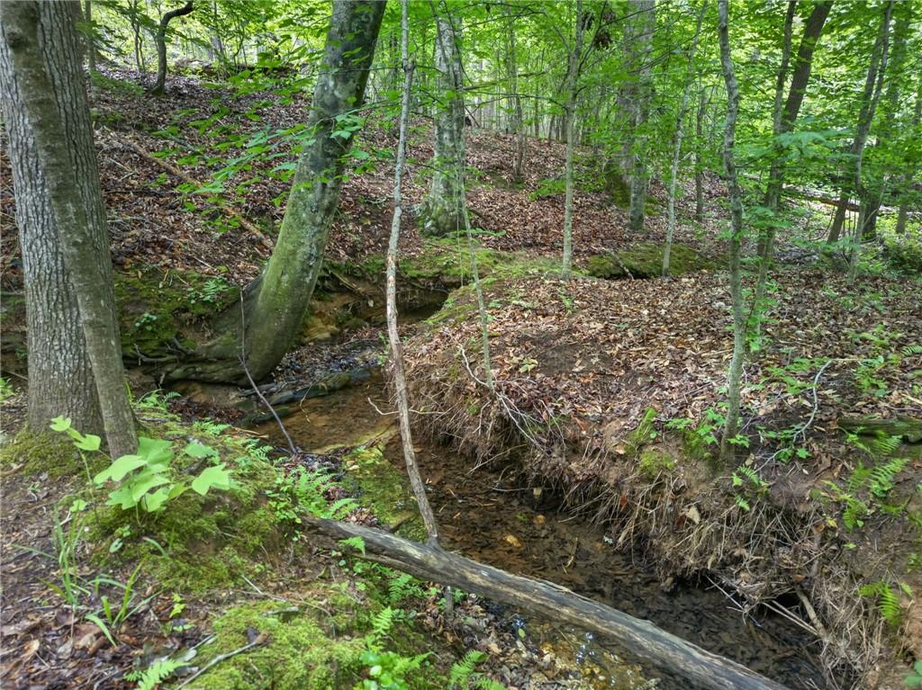 3512 Vinson Mountain Road Rockmart, GA 30153 - Photo 43 of 57 a view of a forest
