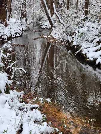 a view of yard with trees
