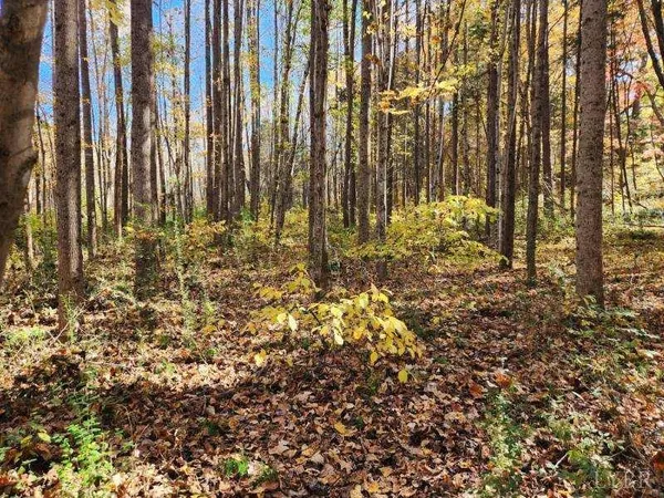 $69,900 | 0 Soybean Drive, Appomattox, VA 24522