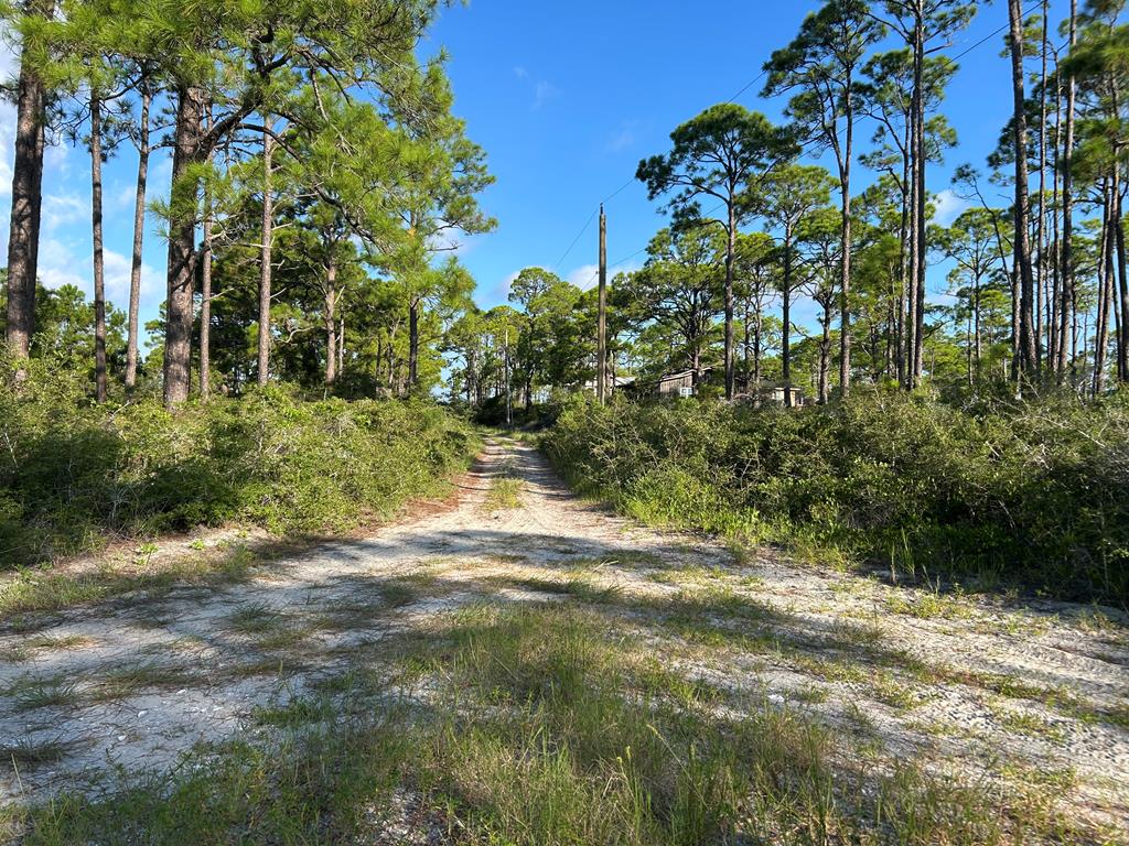 116 Anglers Road Carrabelle, FL 32322 - Photo 2 of 7 Gallery Image 2