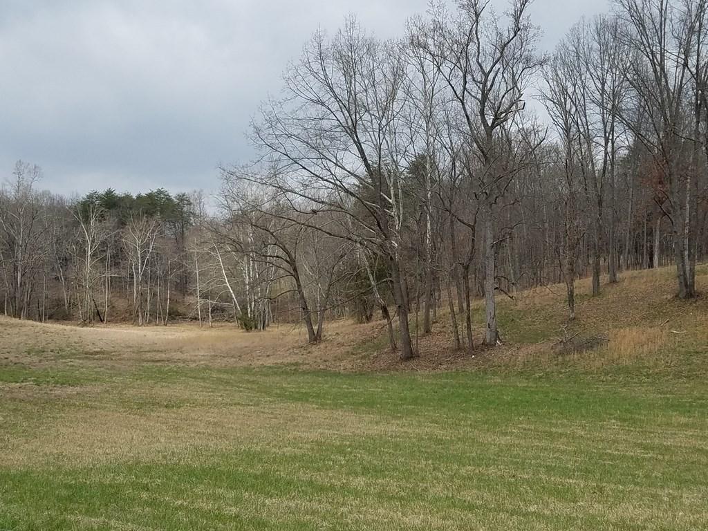 Bill Smith Road Cookeville, TN 38501 - Photo 2 of 6 Bill Smith Rd 2