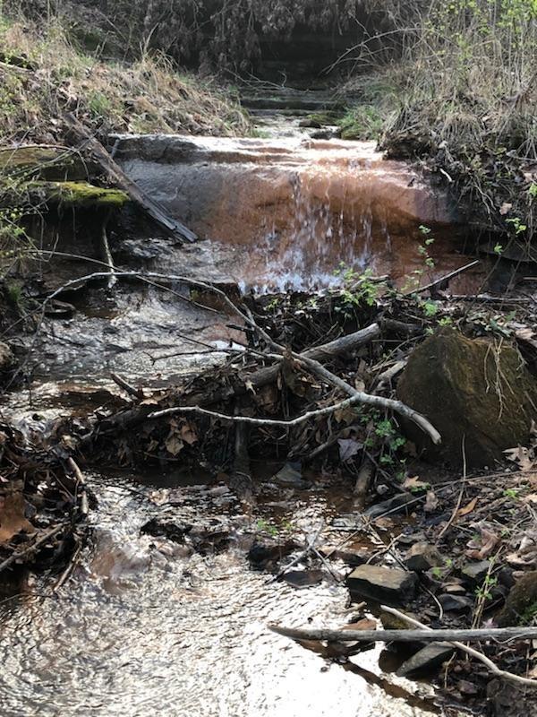 Bill Smith Road Cookeville, TN 38501 - Photo 3 of 6 Bill Smith Rd 3