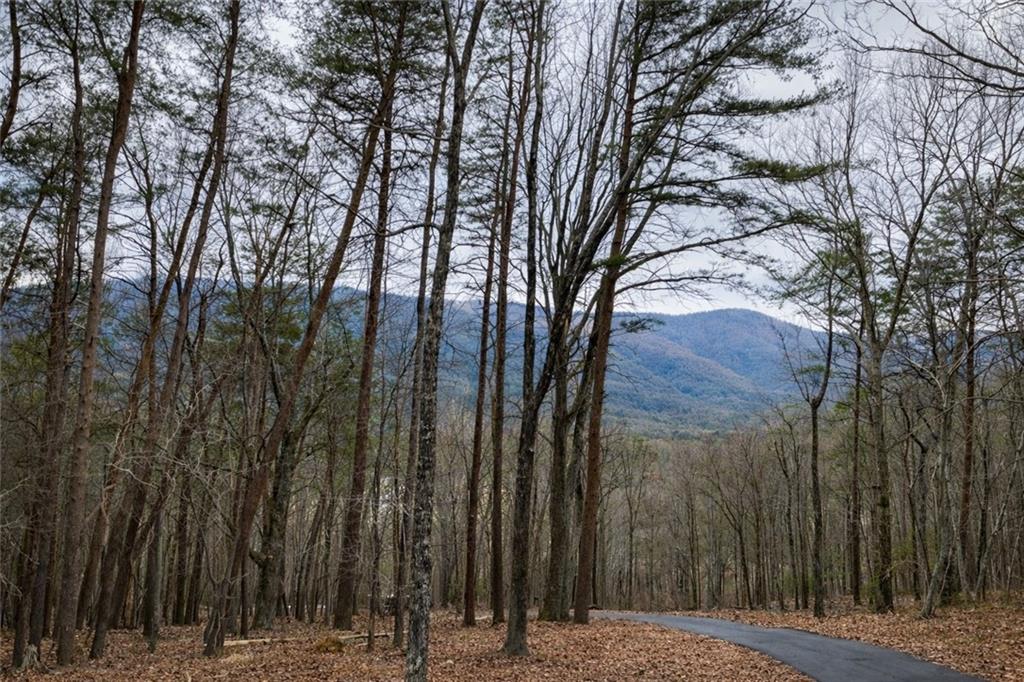 509 East Valley Road Northeast Rydal, GA 30171 - Photo 20 of 27 a view of a park with large tree