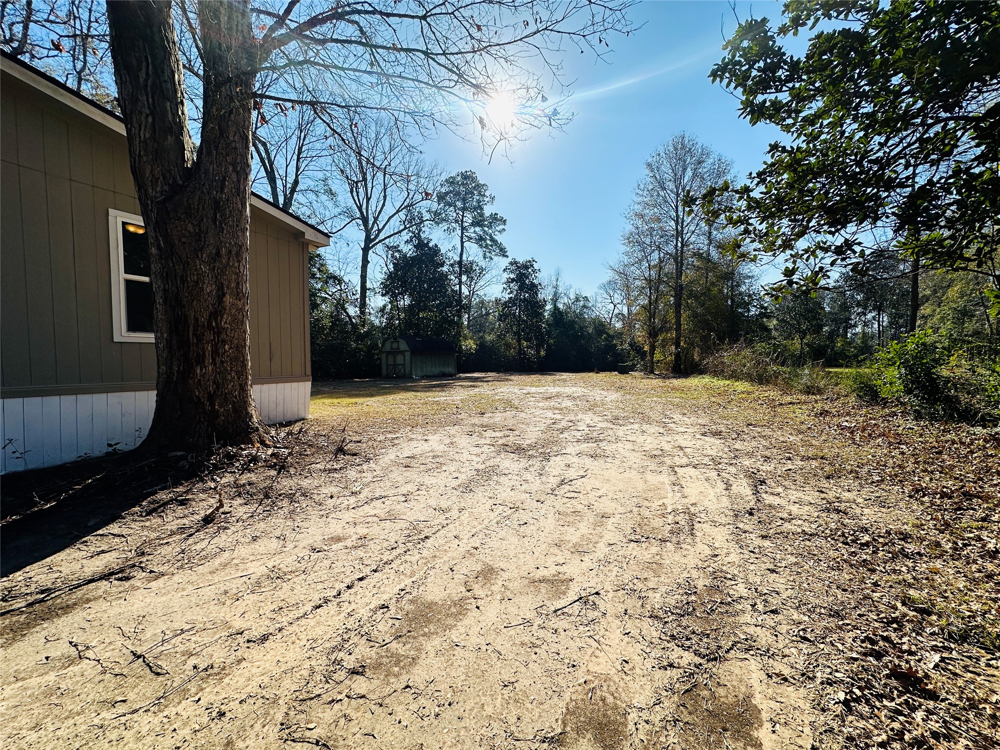 145 Campbell Street Shepherd, TX 77371 - Photo 31 of 36 a view of a yard with trees