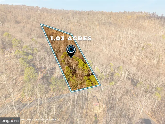 a view of a green field with lots of bushes