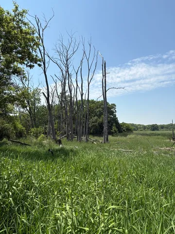 $4,975,000 | 17230 Highway 173, Wadsworth, IL 60083