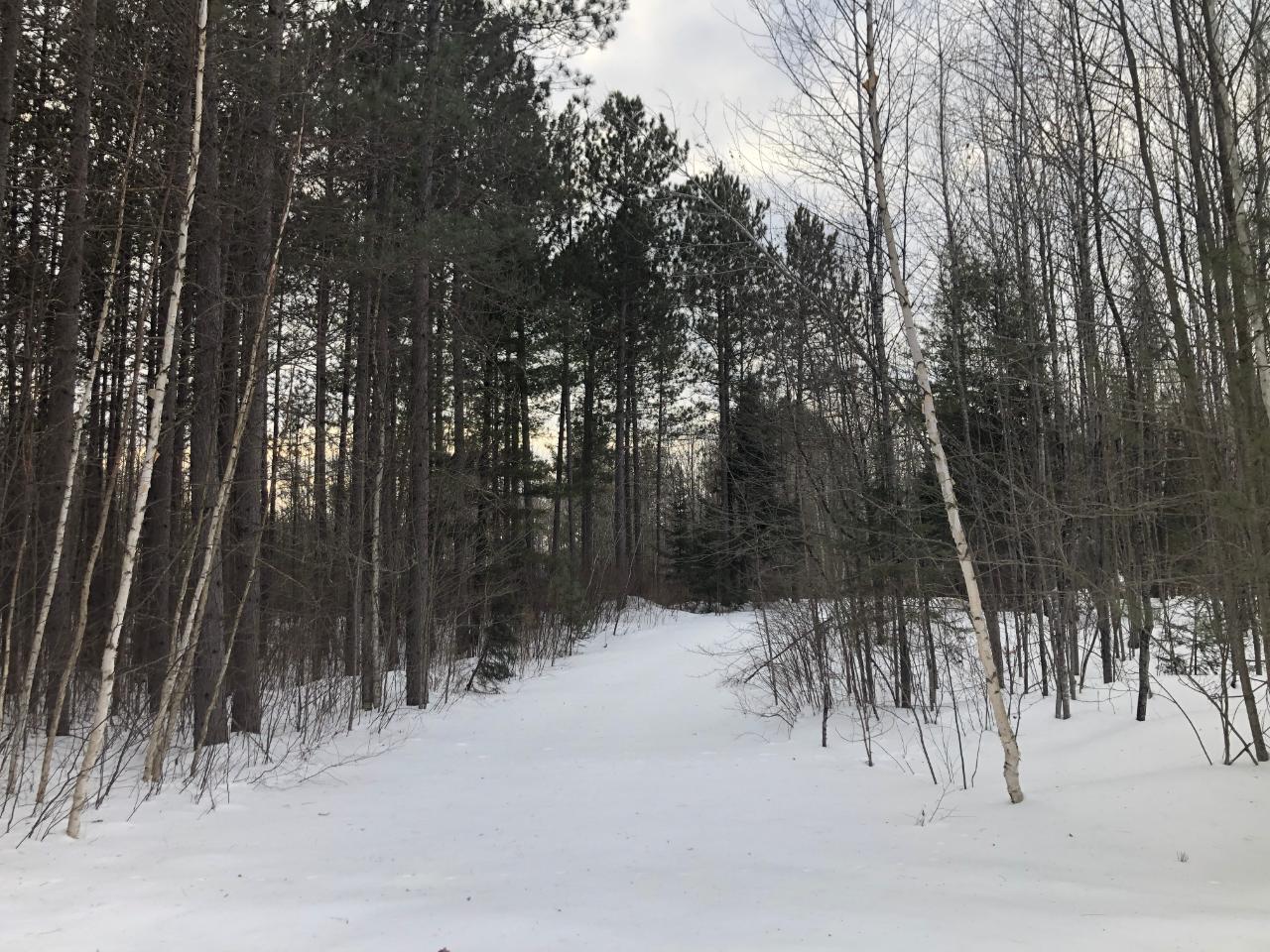 60-acres Pine Lake Road Minocqua, WI 54548 - Photo 1 of 11 Gallery Image 1
