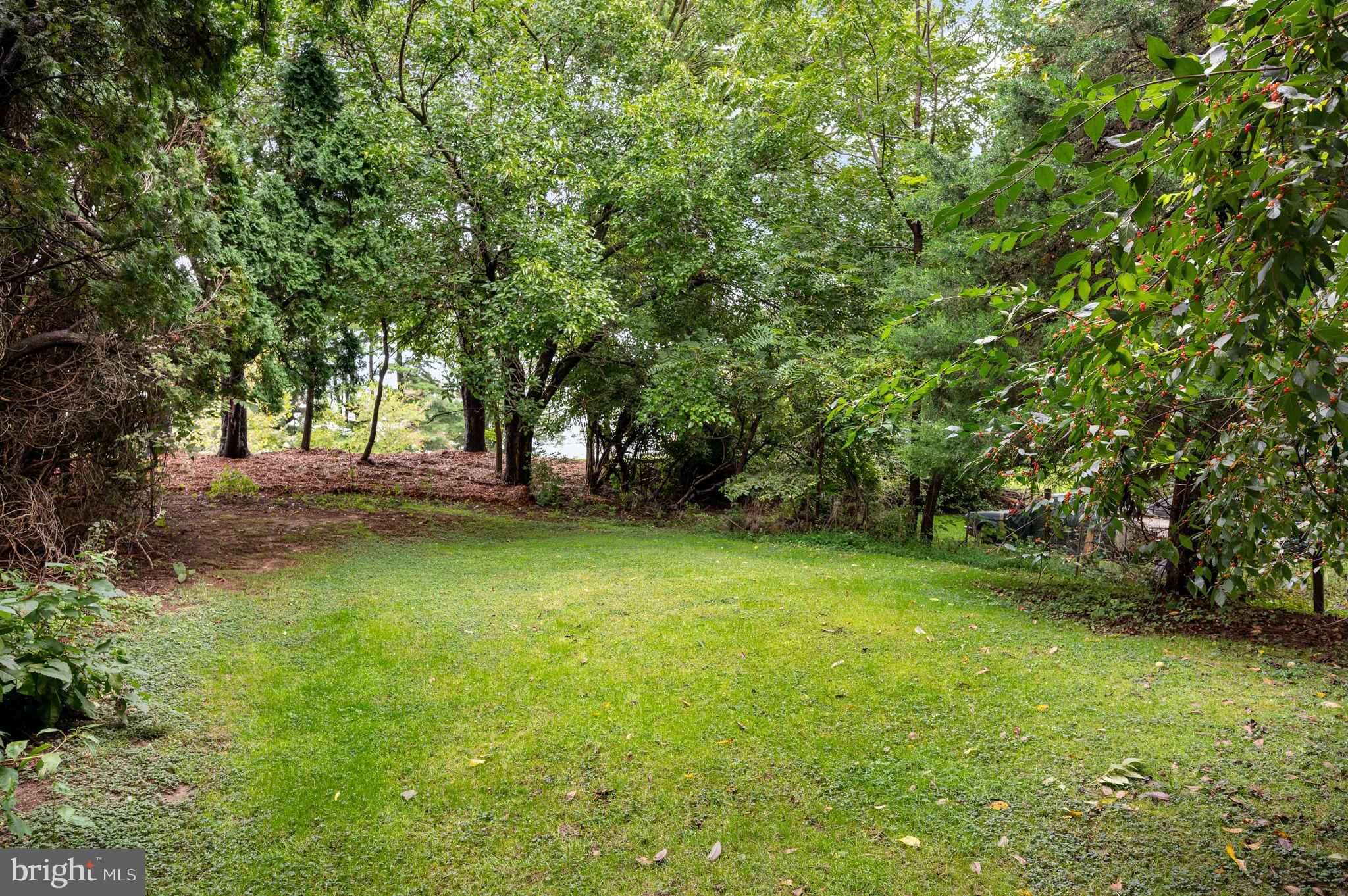 11 Montello Road Reading, PA 19608 - Photo 12 of 29 Rear Yeard