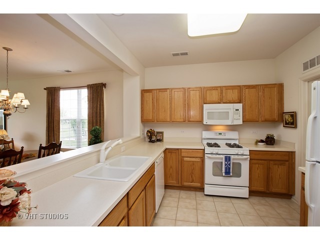 2516 Rolling Ridge Elgin, IL 60124 - Photo 3 of 17