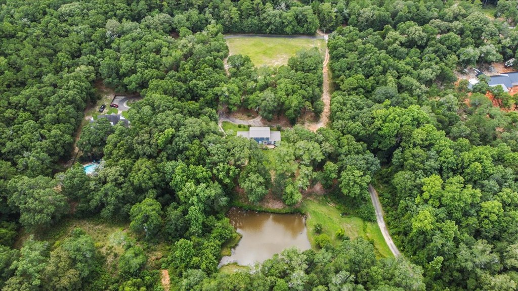 317 Holmes Road Newton, AL 36352 - Photo 8 of 55 Gallery Image 8