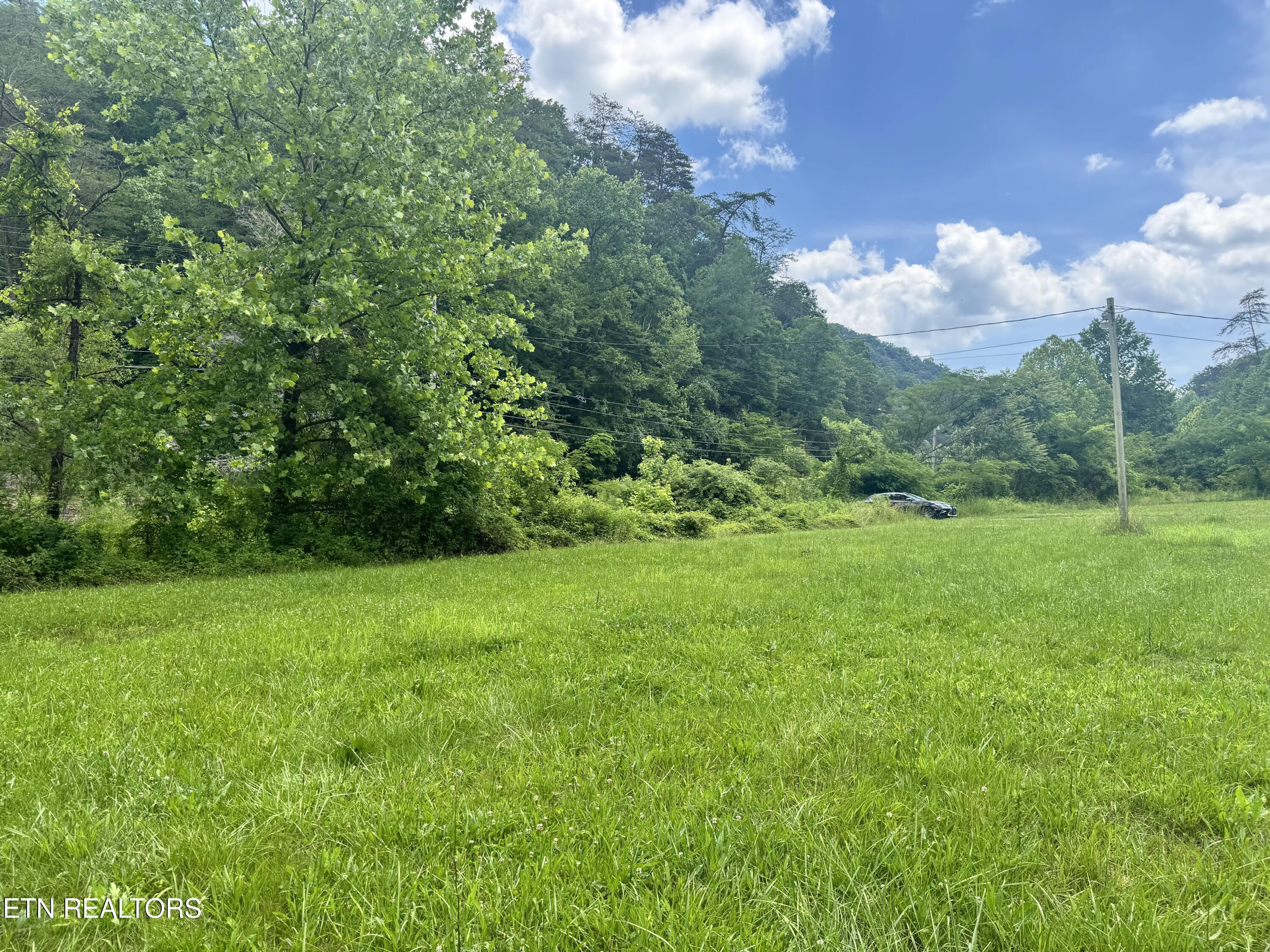 955 Rock Haven Road Bean Station, TN 37708 - Photo 13 of 23 Big House Side Yard 3