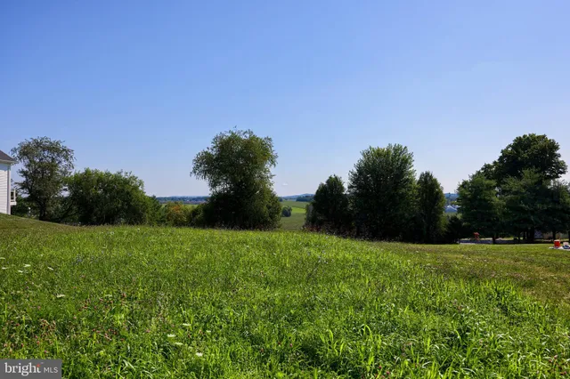 a view of a grassy field with trees in the background