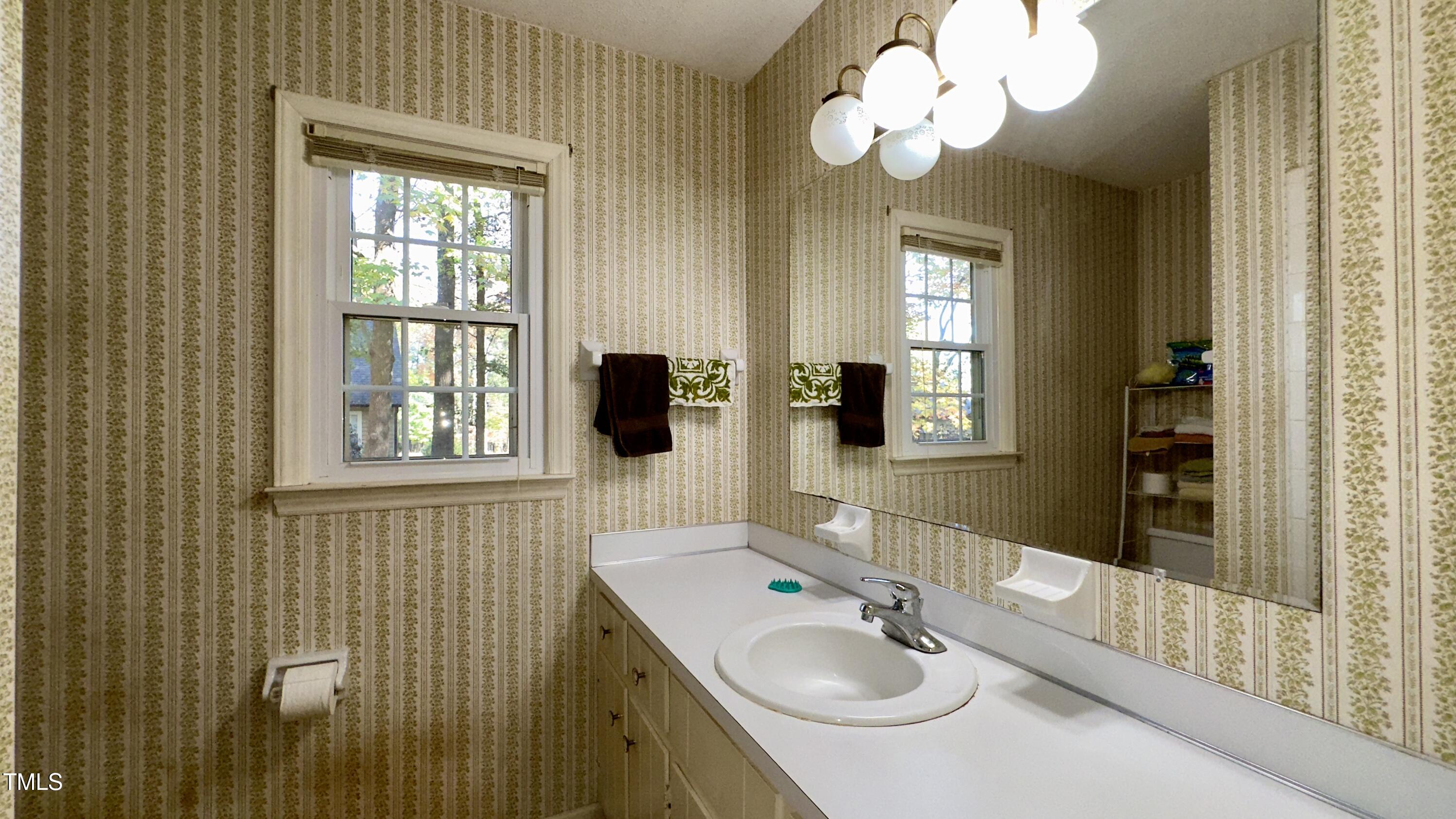 1123 Dove Ridge Road Bahama, NC 27503 - Photo 25 of 28 Bathroom-Primary suite