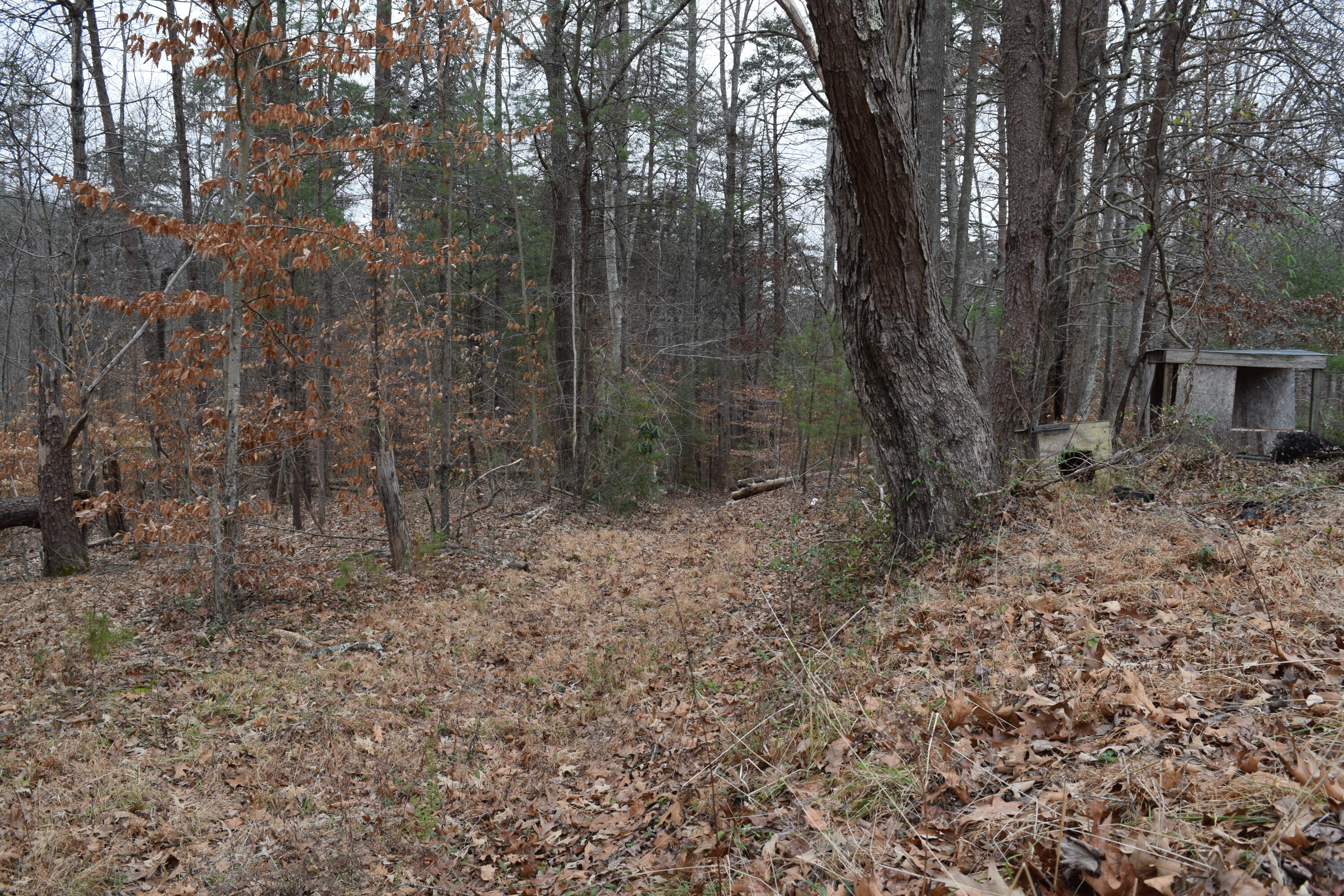 1231 Horseshoe Point Road Henry, VA 24102 - Photo 9 of 33 DSC_1128