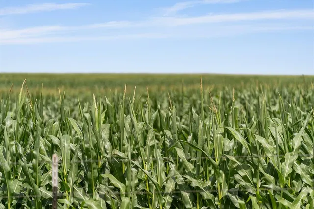 $1,737,500 | 13661 Siler Road, Moody, TX 76557