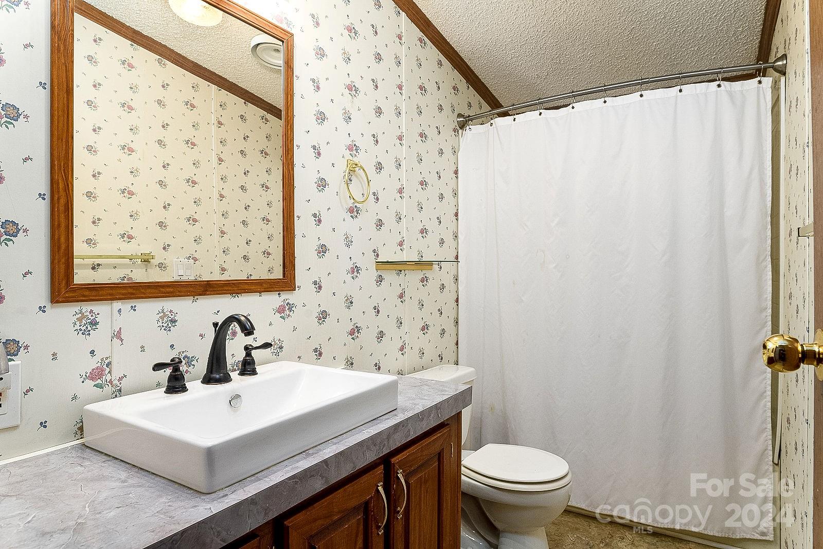 740 Childers Road Cleveland, NC 27013 - Photo 13 of 24 a bathroom with a sink a toilet and a mirror
